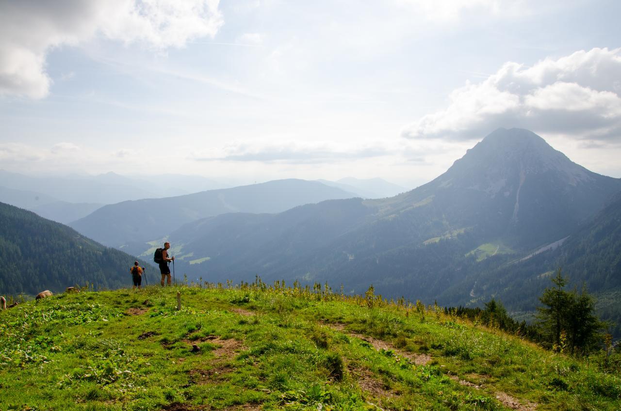 Sissi Park Haus Im Ennstal - Schladming Apartment Ngoại thất bức ảnh